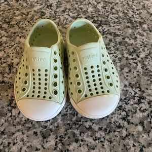 Cucumber Green Natives